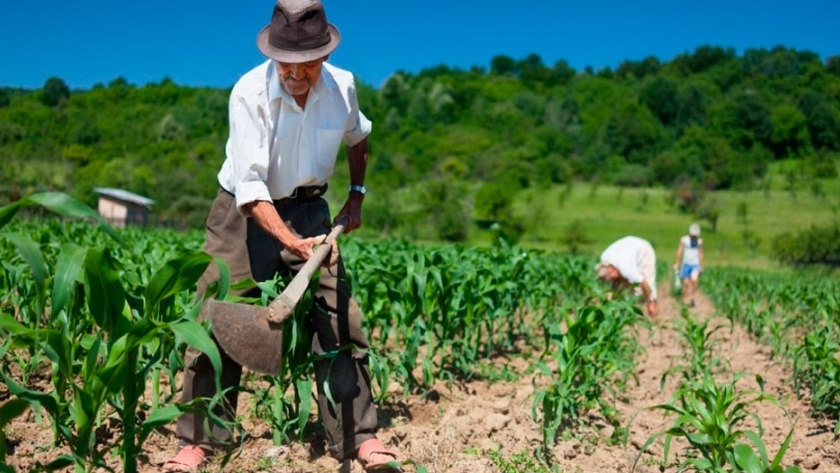 Desarrollo rural y preocupaciones en el sector vitivinícola