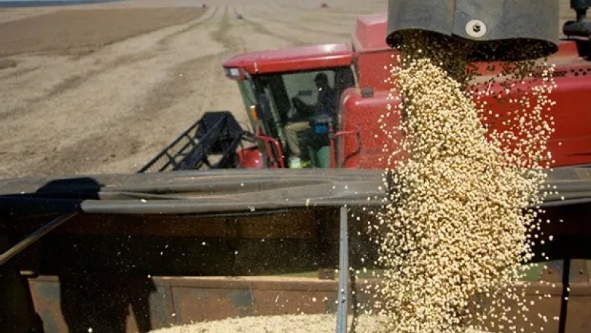 “Contradictorio a la producción”: el Consejo Agroindustrial rechazó la suba de retenciones propuesta por el Gobierno