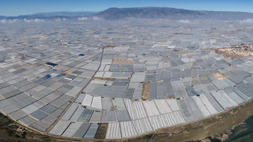 Residuos de una agricultura bajo plástico