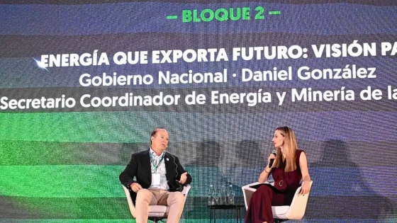 Vaca Muerta y el “Super RIGI”: el Gobierno acelera beneficios para inversiones y prepara un régimen especial para nuevas industrias