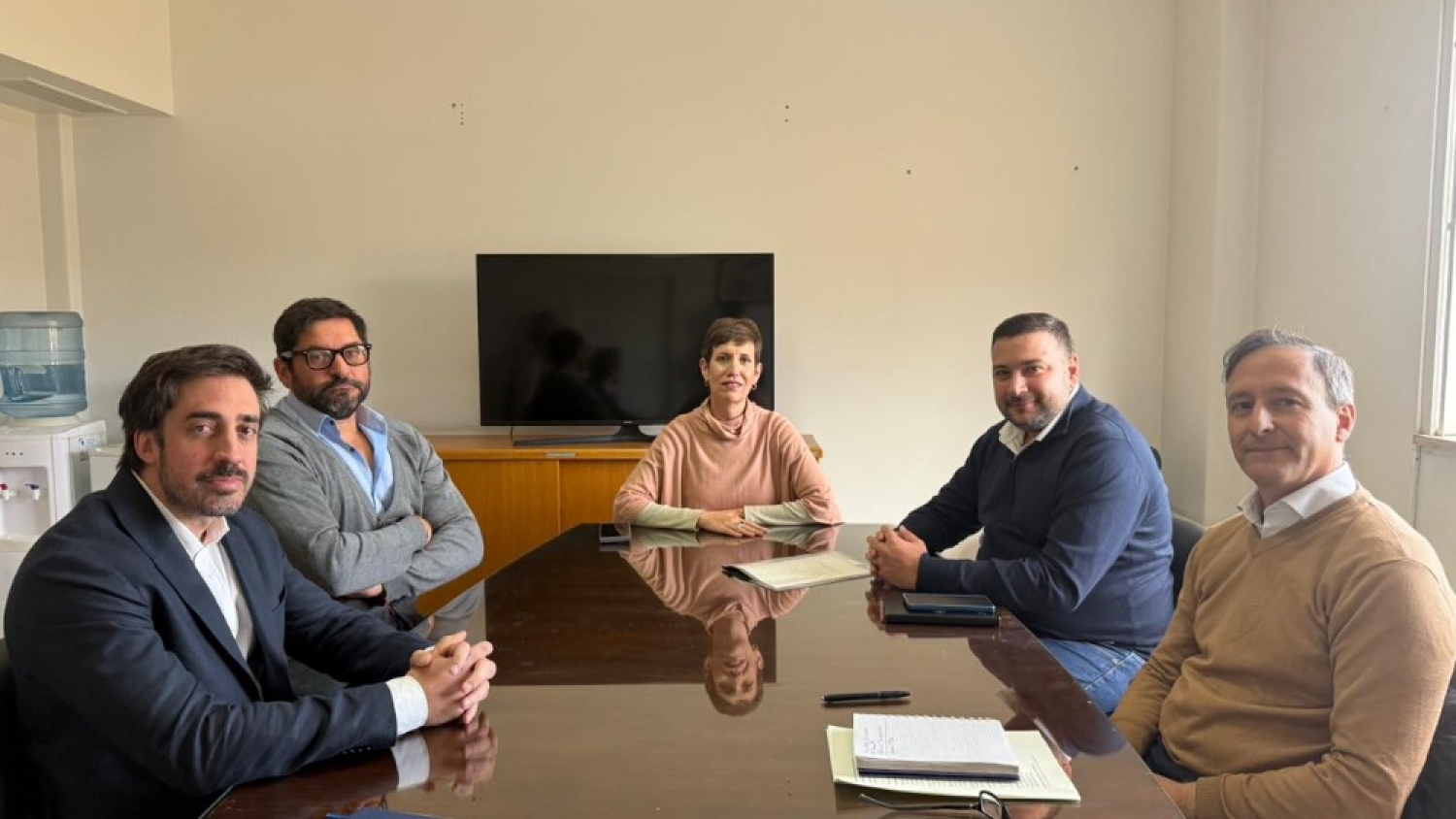 Mendoza licitará el complejo hidroeléctrico Los Nihuiles
