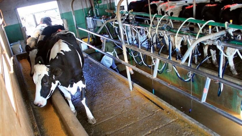 Capacitan a productores en el uso agronómico de los efluentes del tambo
