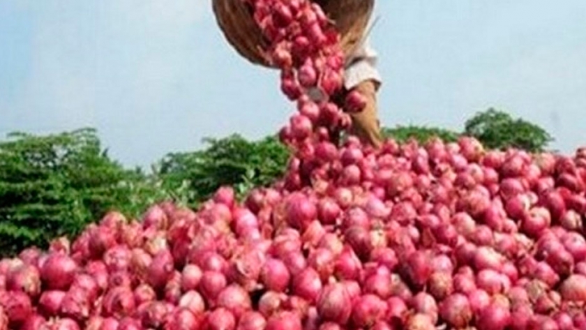 Argentina recibe una misión de la FAO para apoyar el Plan Argentina contra el Hambre