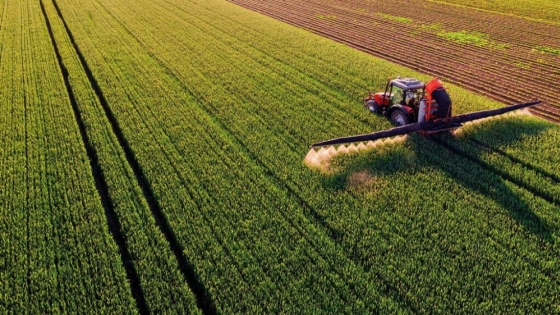 El Corn Belt y la Pampa: dos mundos, un cultivo, distintos desafíos