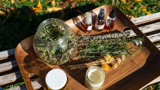 Por qué el otoño es la mejor estación para empezar tu huerta de aromáticas
