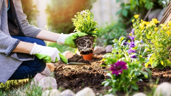 Vuelven los seminarios gratuitos de jardinería al Salón del Polígono de Tiro