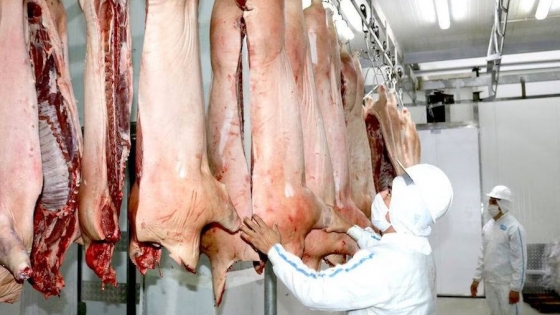 Paraguay fortalece la industria porcina con la creación de la mesa de competitividad