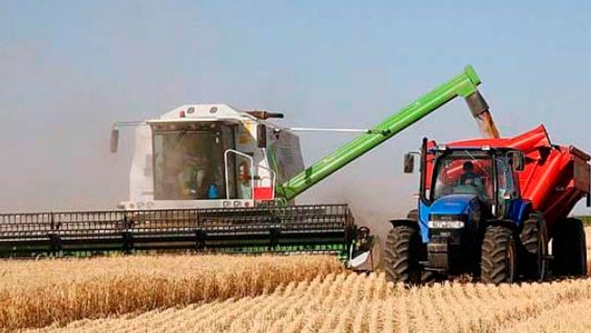 Con un aumento de retenciones al 15% del maíz y trigo se recaudará 300 millones de dólares adicionales