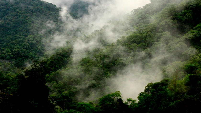 Parque Nacional Calilegua