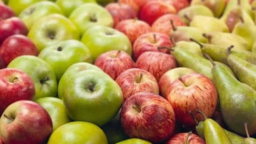Autorización de las fechas para cosecha de manzanas y peras en zonas productoras