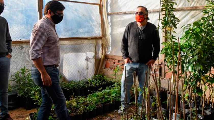 En Resistencia, proyectan una plantación masiva de árboles con el aporte del Vivero Municipal