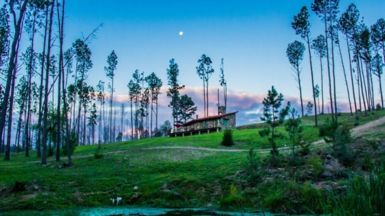 Villa Berna: el destino cordobés que sorprende con paisajes alpinos