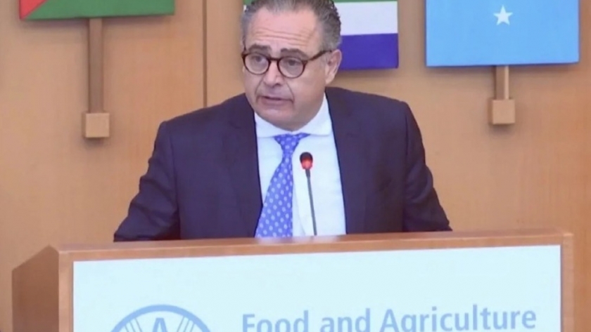 Ganadería: Argentina fue elegida para presidir el Subcomité de la FAO