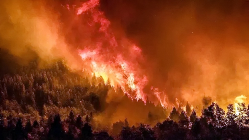 Brigadistas catamarqueños continúan combatiendo el incendio en el Parque Nacional Nahuel Huapi