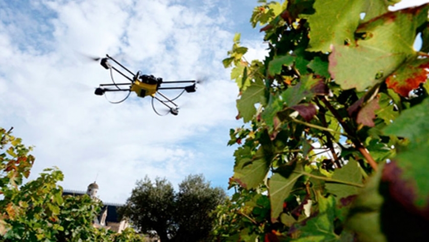 Hacia una viticultura de precisión