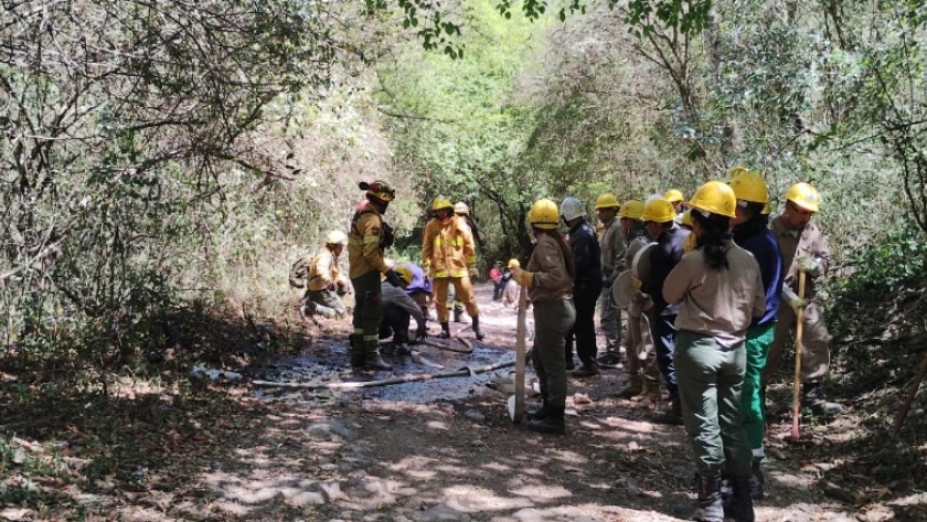 Curso brigadistas forestales: capacitaron a 39 aspirantes