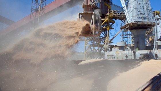 Argentina dejó de ser el mayor exportador de harina de soja