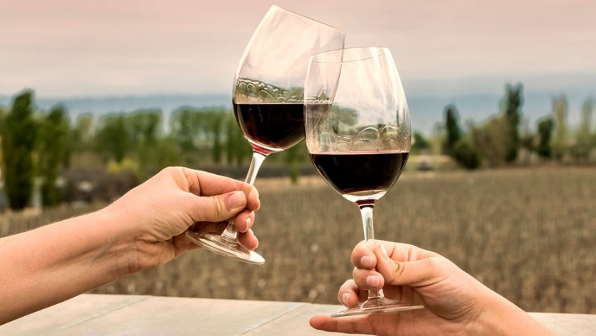 Experiencias enoturísticas en Wine & Guest