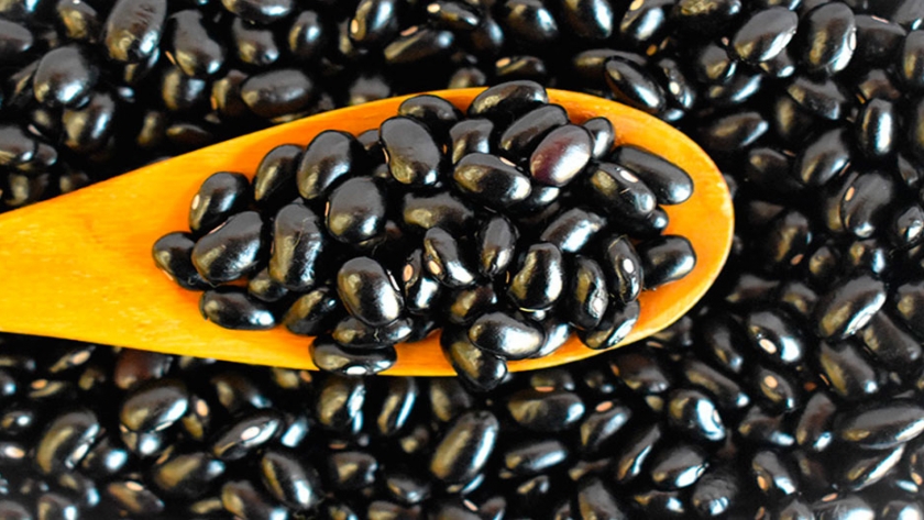 Las exportaciones de porotos argentinos a México beneficiadas con nueva medida