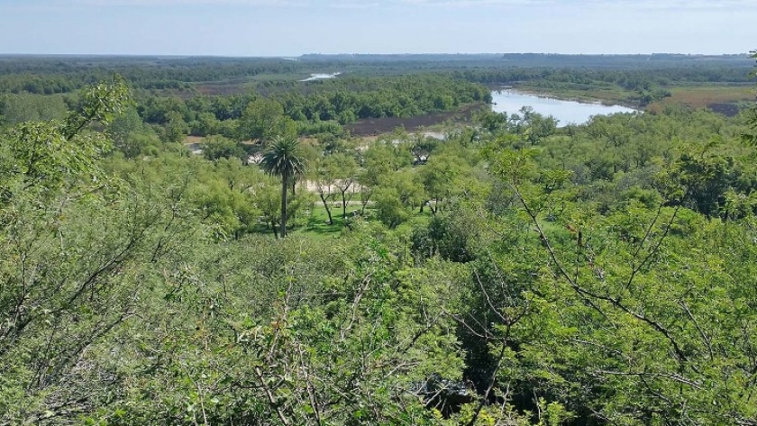 Entre Ríos prorrogó la emergencia ambiental en la provincia