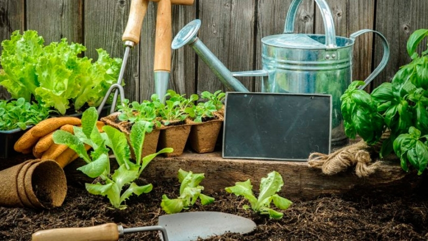 Universo Verde Jardinería