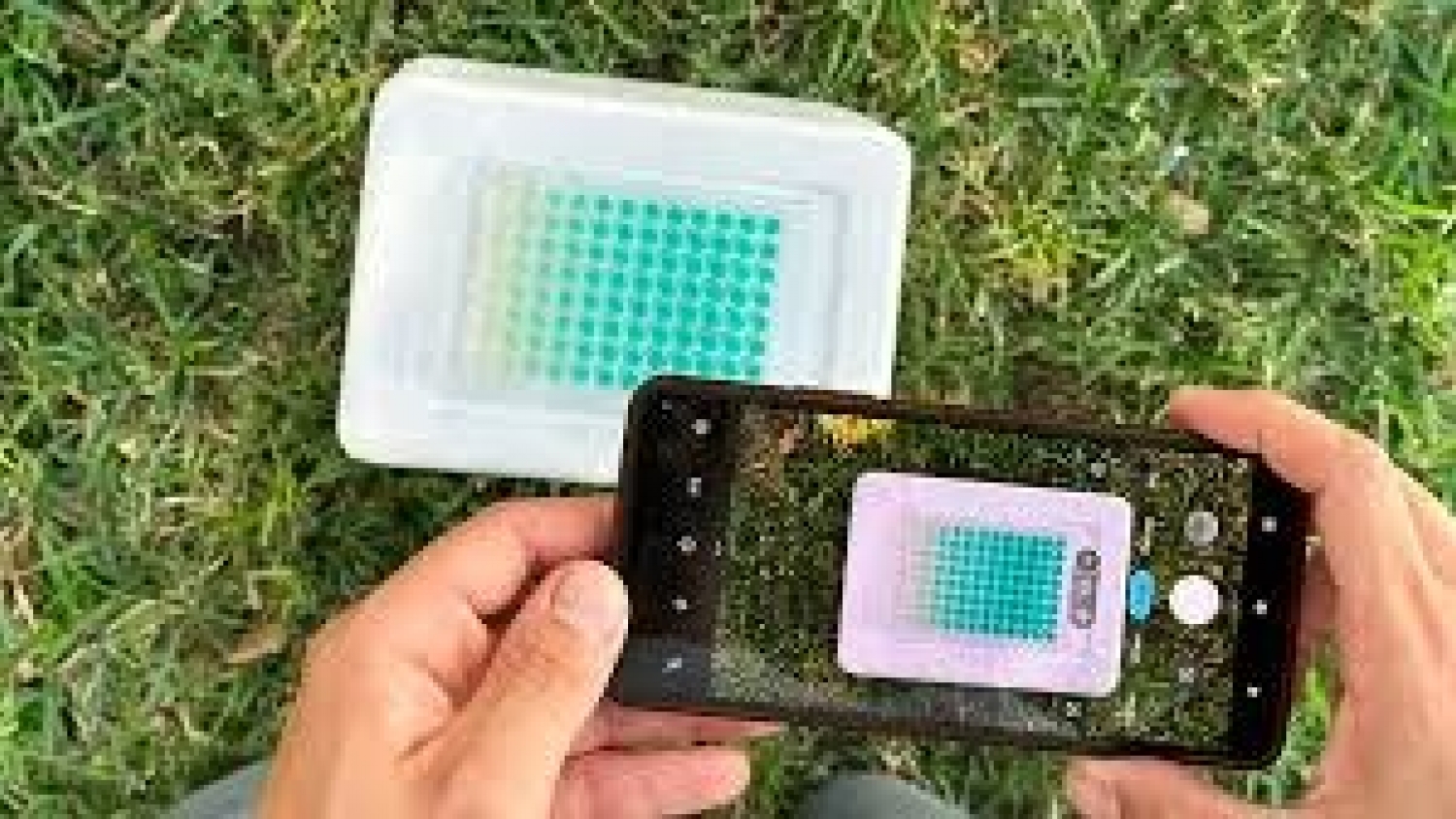 Crean un sistema que mide fosfato en suelos con el celular y agiliza el diagnóstico agrícola