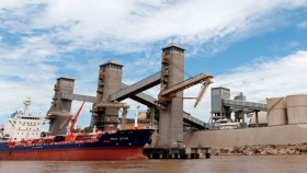 Fue récord la exportación 2019 de subproductos oleaginosos desde los puertos