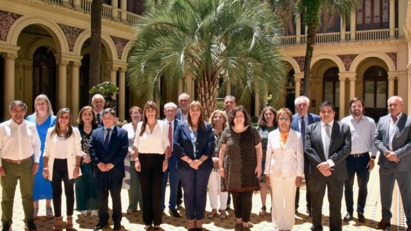 La ministra de Salud participó en un nuevo encuentro del Consejo Federal de Salud