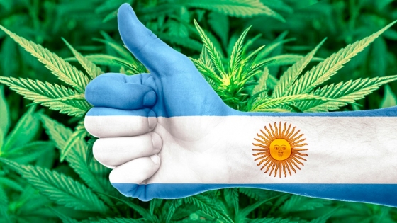 Cannabis: un negocio que pica en alto en toda la región