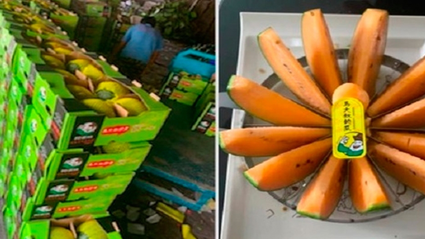 Sandías zanahoria y sandías tomate en China
