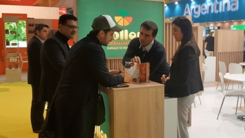 Empresa entrerriana concretó la primera exportación directa de cítricos a la Unión Europea