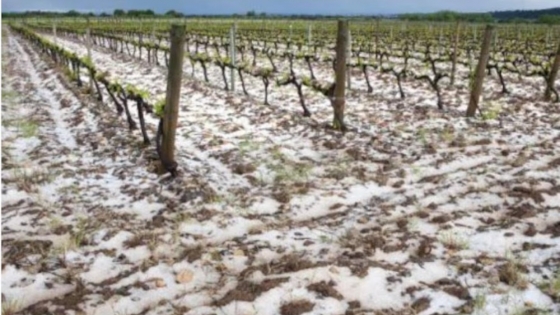 Mendoza deja de sembrar nubes antigranizo y lanzó un seguro agrícola “histórico” para pequeños productores