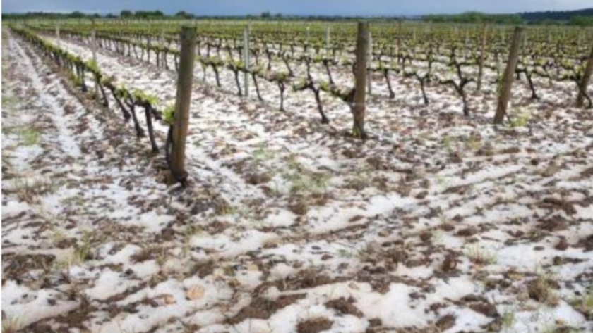 Mendoza deja de sembrar nubes antigranizo y lanzó un seguro agrícola “histórico” para pequeños productores