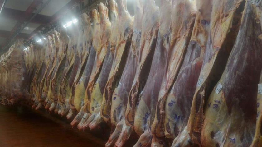 Estados Unidos aprobó la auditoría al sistema de inspección de carnes bovinas argentino