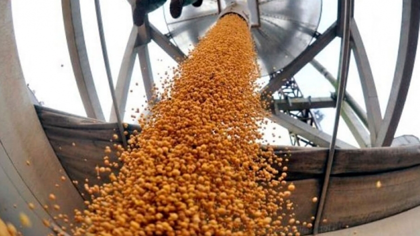 En lo que va del año, cayó 20,3% el ingreso de dólares por exportaciones del campo