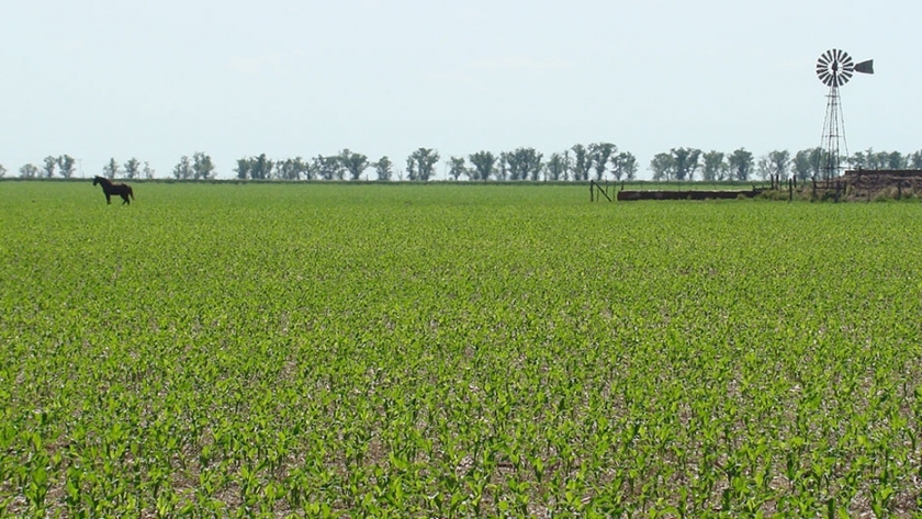 Fuerte malestar en el campo entrerriano ante un impuestazo provincial