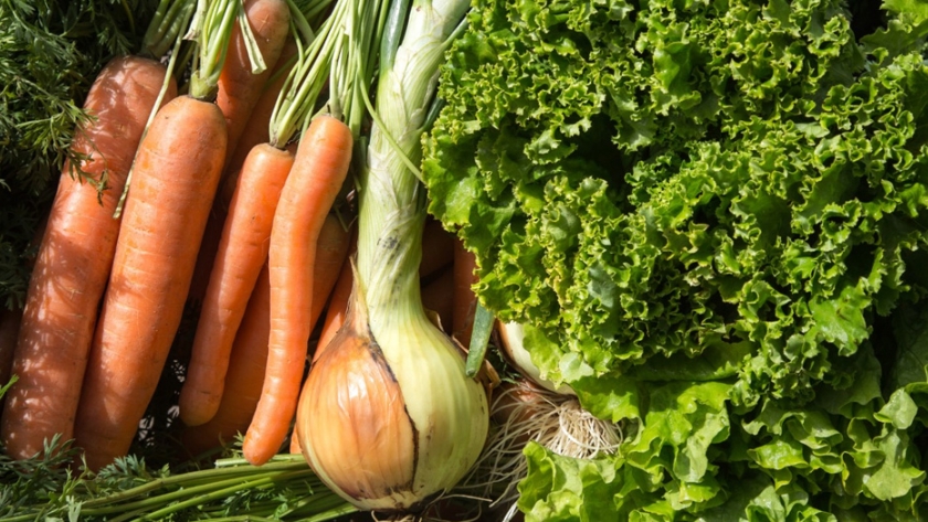 Agricultura destinará más de $ 19.5 millones para el sector hortícola de la provincia del Chaco