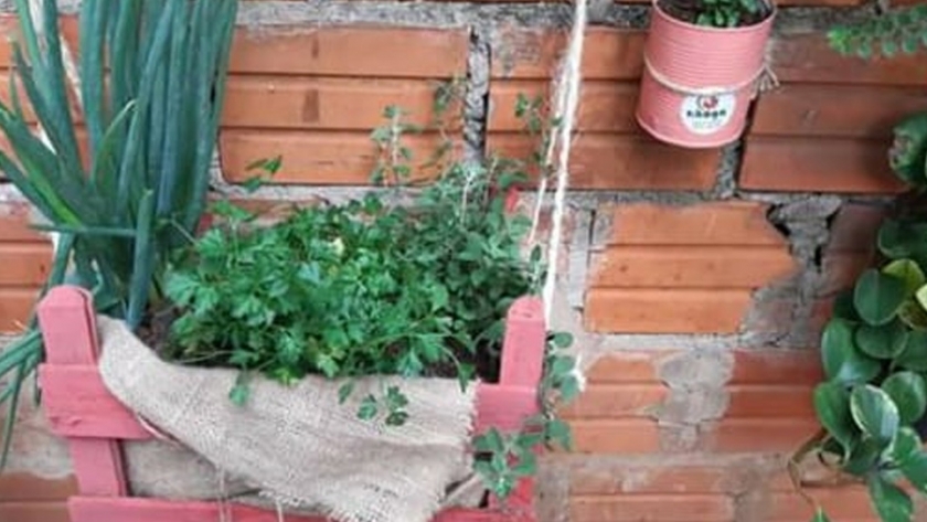 Huerta urbana sembramos en casa