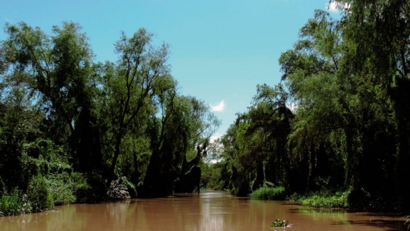 El humedal santafesino Jaaukanigás, cuna del ecoturismo