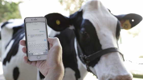 El INTA suma tecnología inteligente a la ganadería