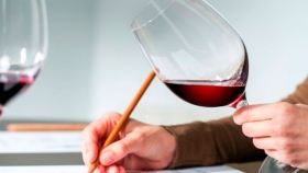 COVIAR presenta un estudio sobre la situación competitiva del vino argentino en el mercado interno