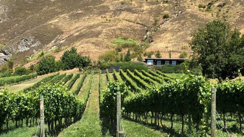 ¿Por qué los vinos de Nueva Zelanda no tienen corcho?