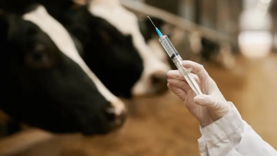 SENASA refuerza protocolos clave para frenar zoonosis en la producción animal