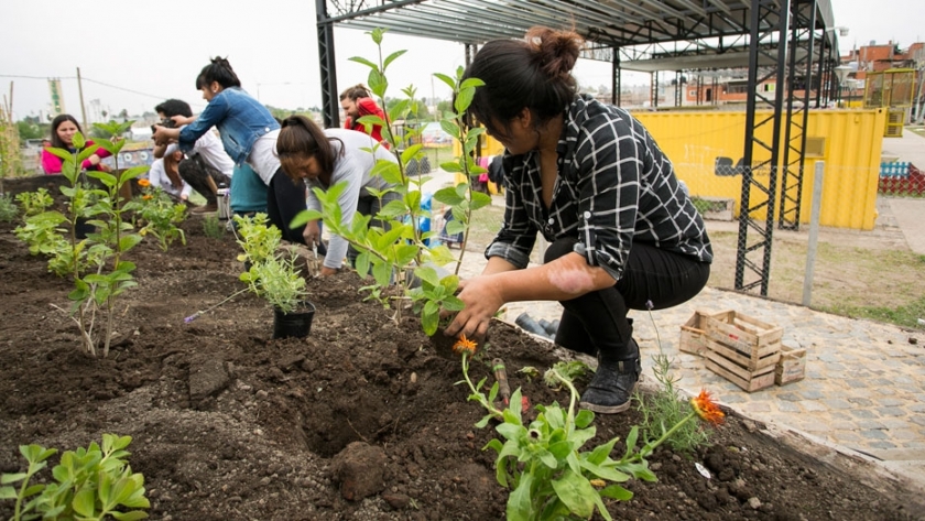 Producción urbana: seguridad alimentaria para los bonaerenses