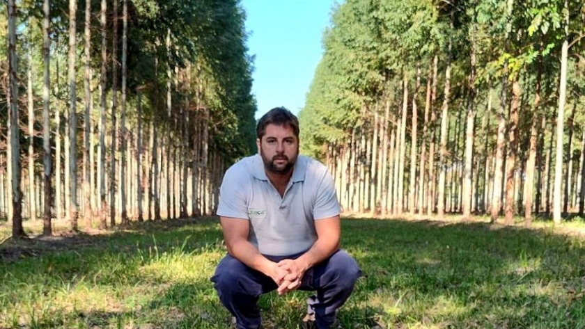 Foresto-industria en alerta | Impregnadoras de postes en riesgos de cerrar sus fábricas por la demora en autorizaciones de las SIRA para importación de insumos