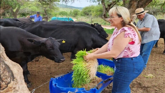 <Triple impacto: producen forraje verde hidropónico en el norte de Córdoba