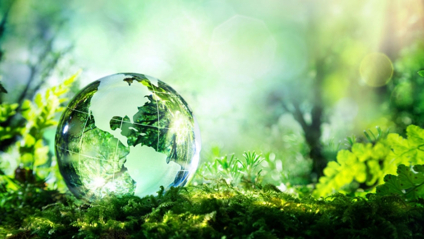 Evaluando la sustentabilidad