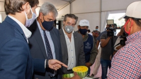 Con más de 70 productores, inició la Expo Jujuy Alimentaria