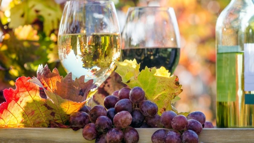 Mitos y realidades del vino