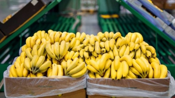 Suspenden envíos de bananas a Argentina